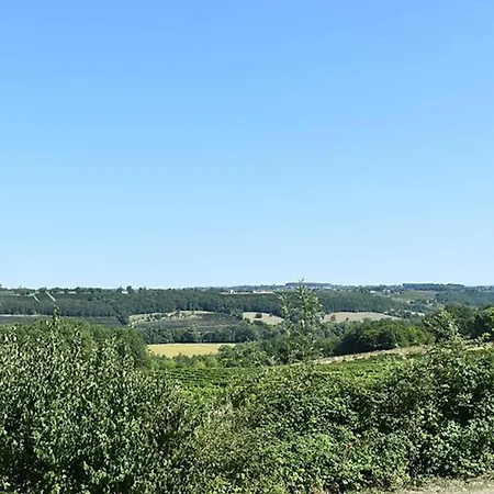 Propriete Au Calme Avec Piscine Privee Au Coeur Des Vignes De Bergerac - Fr-1-824-1 Gageac-et-Rouillac