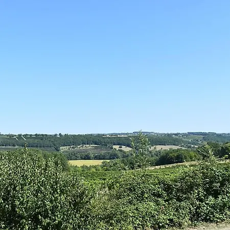 Propriete Au Calme Avec Piscine Privee Au Coeur Des Vignes De Bergerac - Fr-1-824-1 *