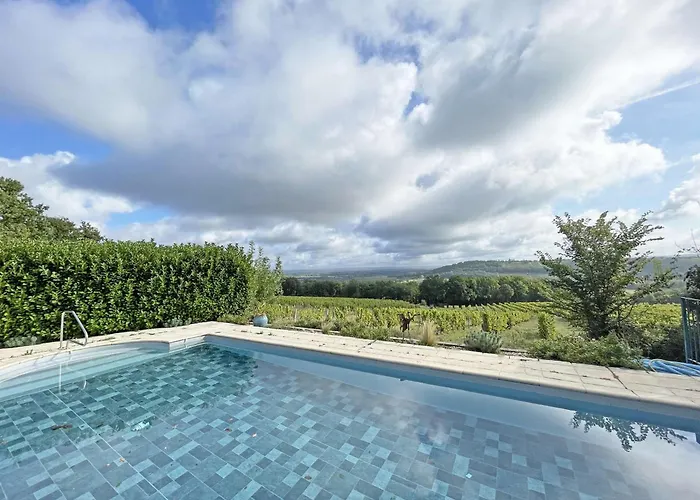 Propriete Au Calme Avec Piscine Privee Au Coeur Des Vignes De Bergerac - Fr-1-824-1 *